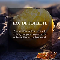 Sauvage Eau de Toilette