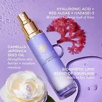 Brume rafraichissante Luminous 2-en-1, vaporisateur de finition et hydratant