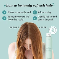 Shampoing Sec Détox