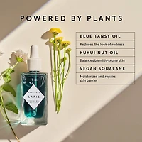 Huile pour le visage à la tanaisie bleue peau grasse et tendance acnéique Lapis