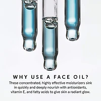 Huile pour le visage à la tanaisie bleue peau grasse et tendance acnéique Lapis