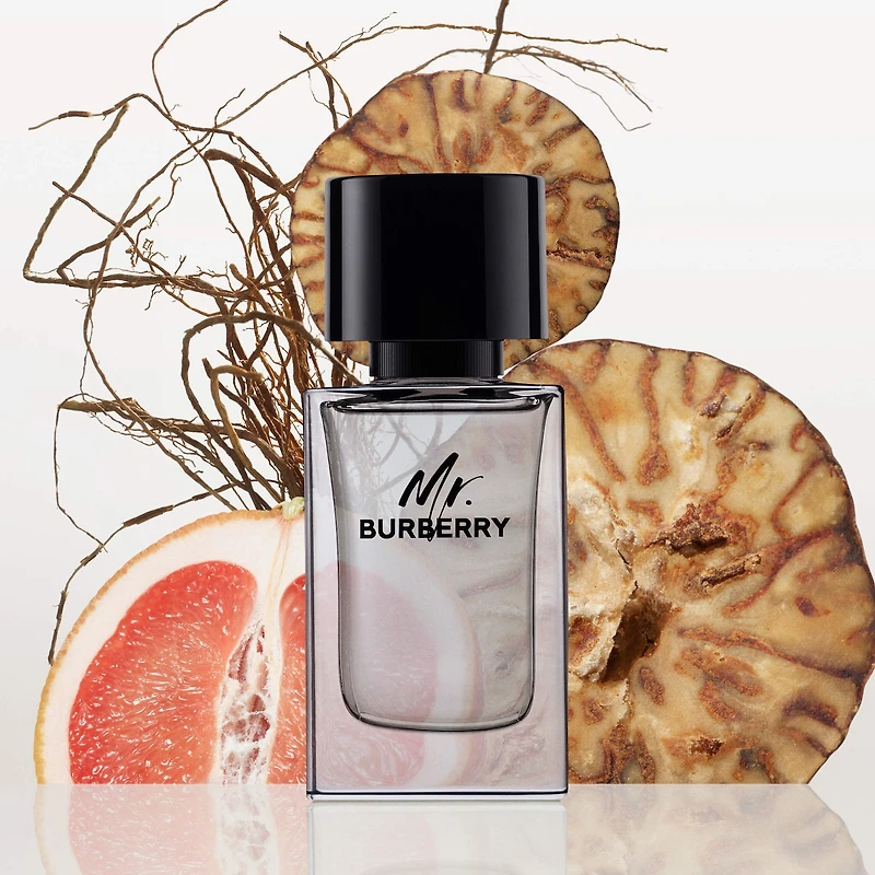Mr. Burberry Eau de Toilette with Grapefruit and Vetiver
