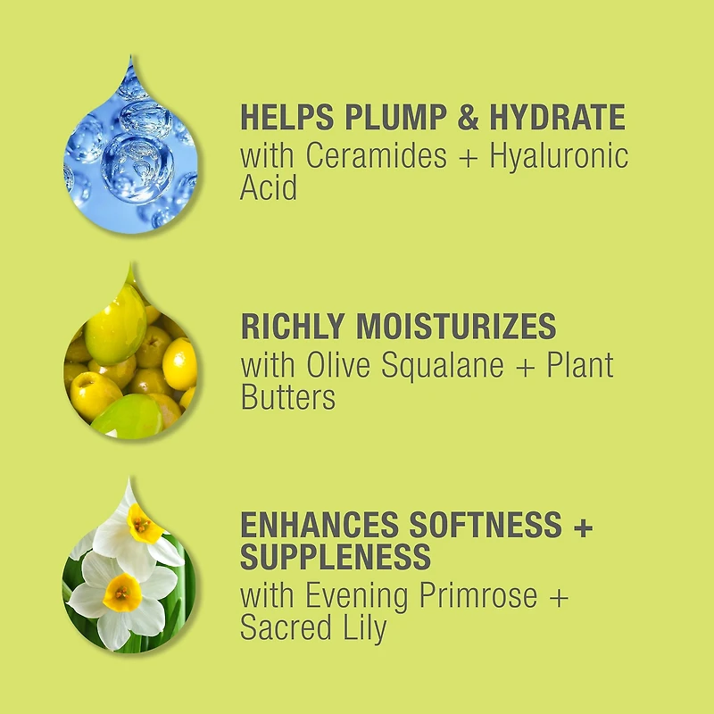 Crème de nuit antirides STEM CELLULAR™