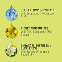 Crème de nuit antirides STEM CELLULAR™