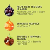 Hydratant antirides STEM CELLULAR™ :