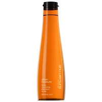Shampoing hydro-nourrissant Urban Moisture pour cheveux secs