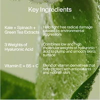 Hydratant léger pour le visage aux superaliments AirWhip à l’acide hyaluronique