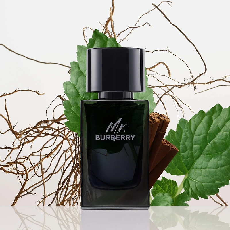 Eau de parfum Mr. Burberry avec patchouli et vétiver