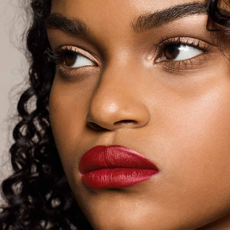 Couleur fluide longue tenue pour les lèvres Stunna Lip Paint