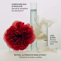 The Silk Cream Anti-aging & Firming Rich Gel Moisturizer 
