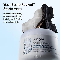 Shampoing micro-exfoliant charbon et huile de coco pour cuir chevelu Scalp Revival™