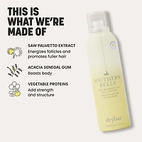 Southern Belle Volume-Boosting Root Lifter