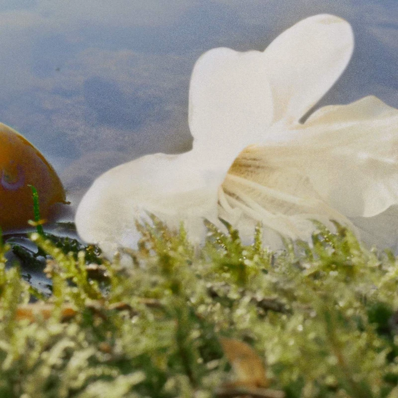 Eau de parfum Nomade avec fleur de freesia, myrobolan et mousse de chêne en vaporisateur de voyage