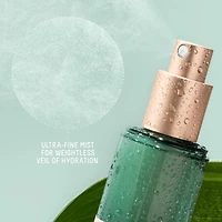 Squalane + Hyaluronic Toning Mist