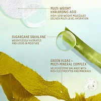 Squalane + Hyaluronic Toning Mist