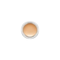 Pot de fard Pro Longwear :