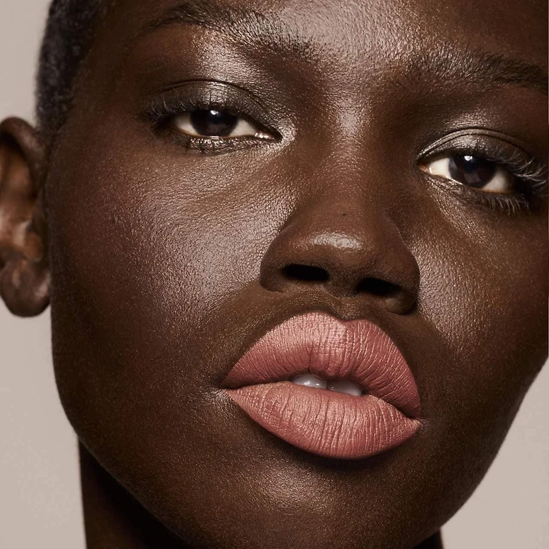 Couleur fluide longue tenue pour les lèvres Stunna Lip Paint