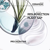 Resistance Strengthening Hair Mask for Damaged Hair from Heat Styling