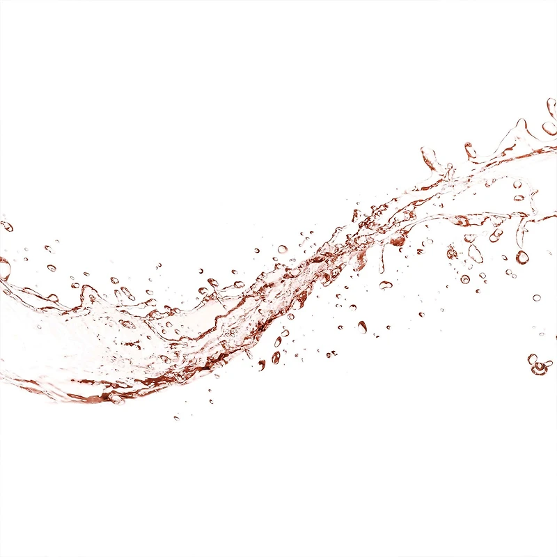 Vaporisateur pour le visage à l'aloès, aux plantes et l'eau de rose