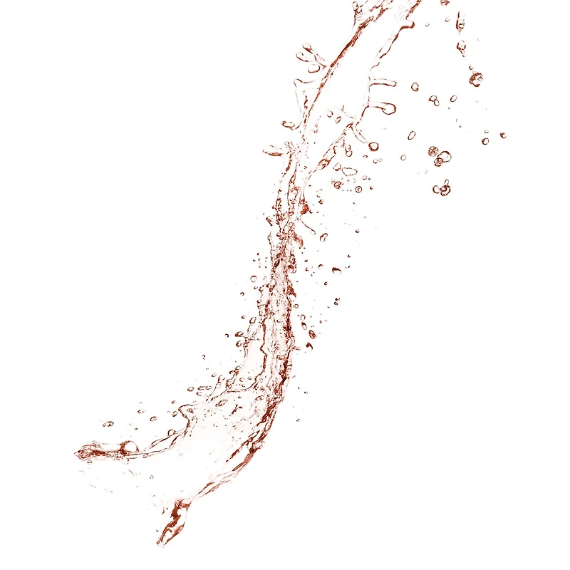 Vaporisateur pour le visage à l'aloès, aux plantes et l'eau de rose