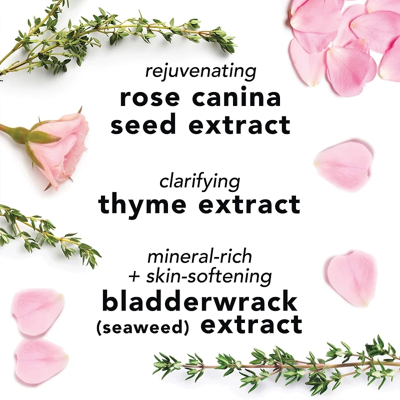 Vaporisateur pour le visage à l'aloès, aux plantes et l'eau de rose