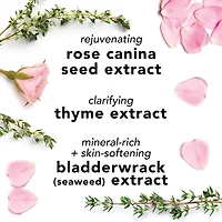 Vaporisateur pour le visage à l'aloès, aux plantes et l'eau de rose