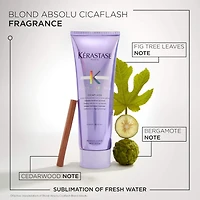 Revitalisant fortifiant Blond Absolu
