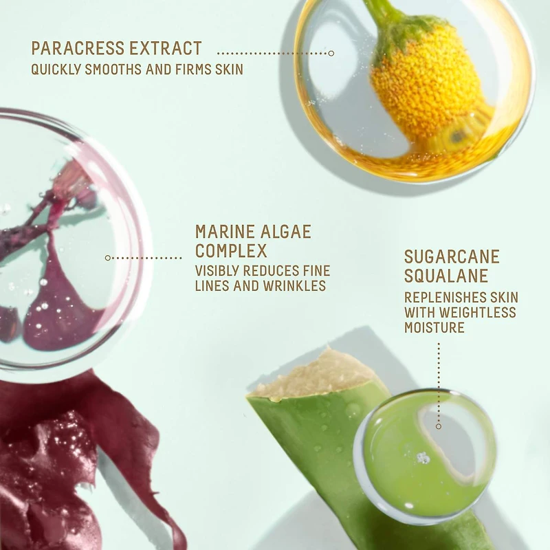 Marine Algae Eye Cream for Fine Lines & Dark Circles + Squalane