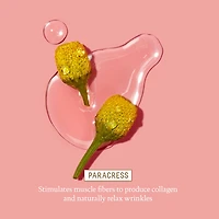 Marine Algae Eye Cream for Fine Lines & Dark Circles + Squalane