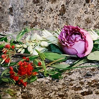 Gucci eau de parfum intense pour femme Bloom Ambrosia di Fiori