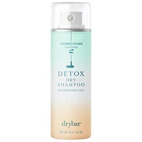 Mini Detox Dry Shampoo
