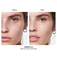 Vanish™ Airbrush Concealer