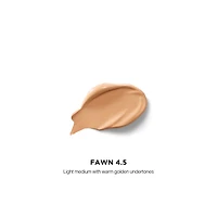 Vanish Airbrush Full Coverage Longwear Concealer