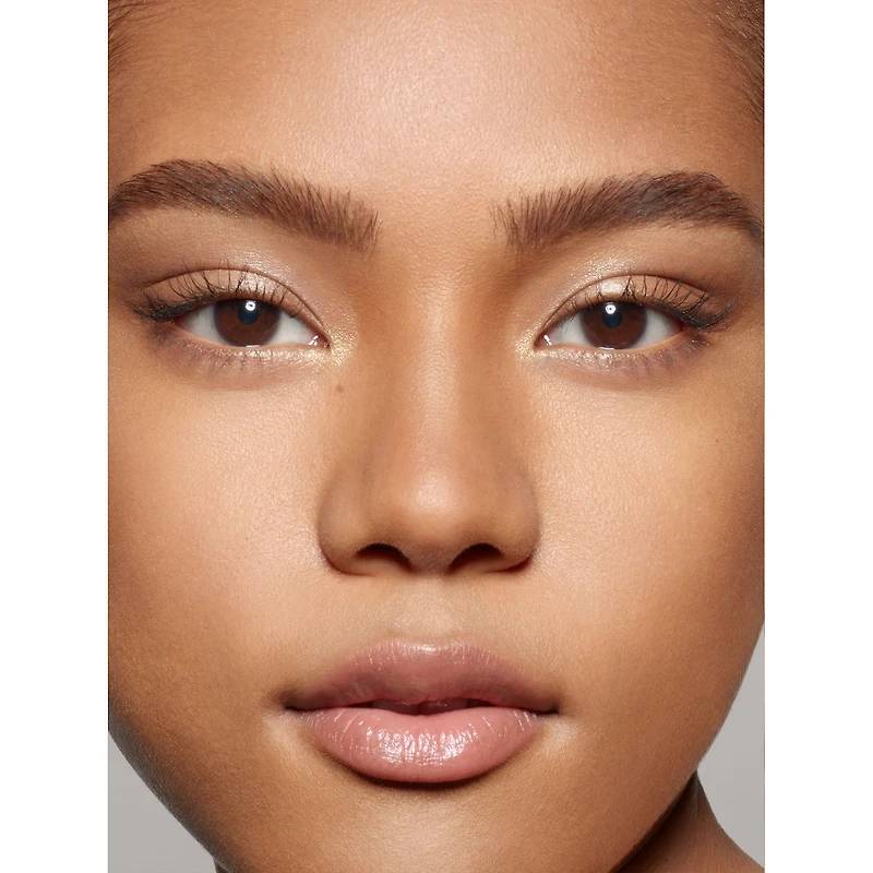 Sublime Perfection Concealer