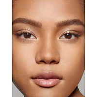 Sublime Perfection Concealer