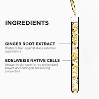 Genesis Heat Protecting Leave-In Treatment for Weakened Hair