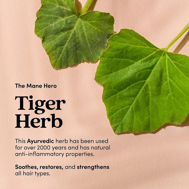 Hydrating Shampoo for Thick, Dry, Damaged Hair