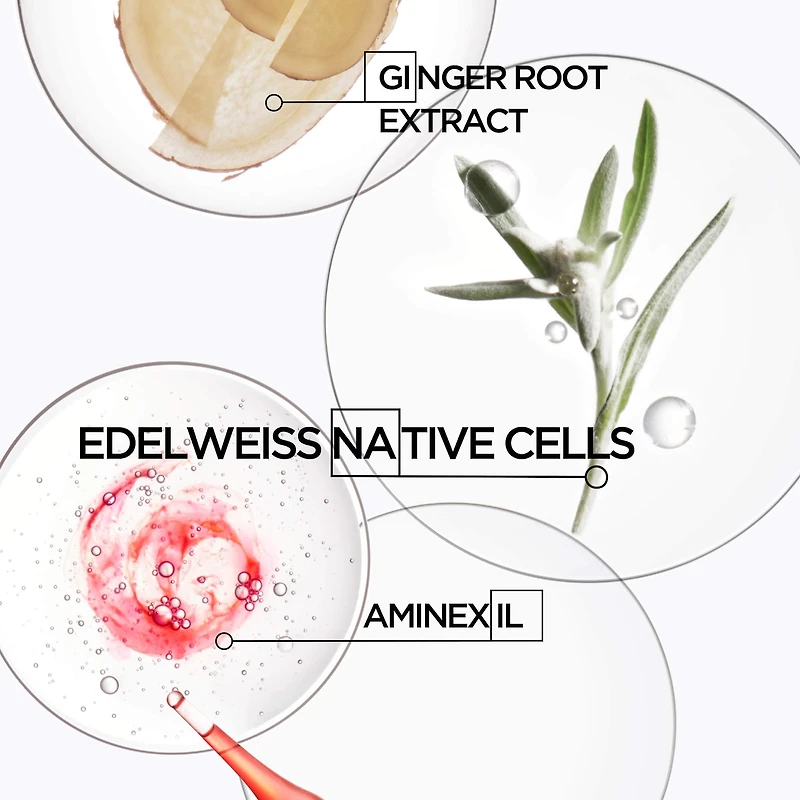 Shampoing fortifiant Genesis pour cheveux normaux à gras