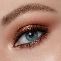 Palette de fards à paupières Master Metallics