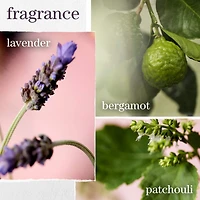 Shampooing Hydrate Sheer pour cheveux fins