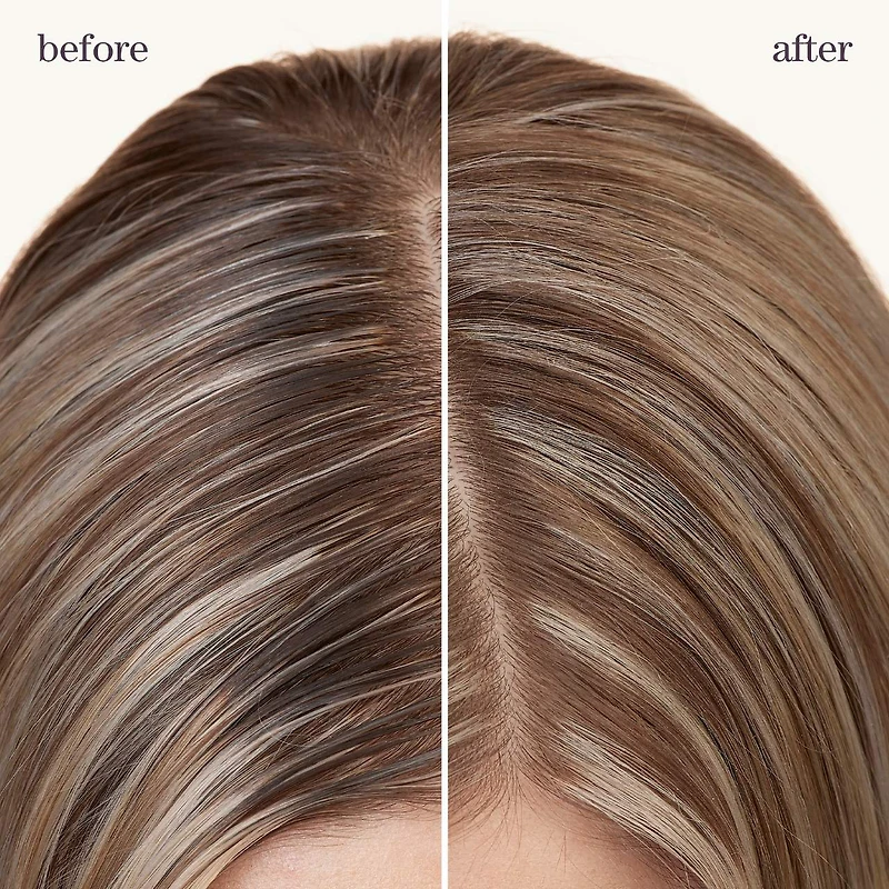 Shampooing sec Refresh & Go Style + Protect
