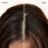 Shampooing sec Refresh & Go Style + Protect