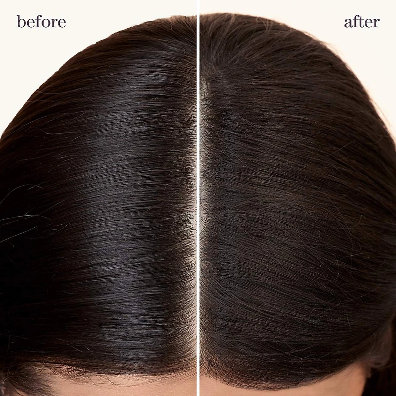 Shampooing sec Refresh & Go Style + Protect