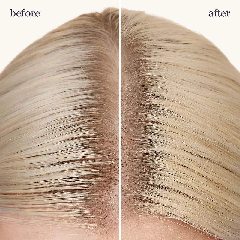 Shampooing sec Refresh & Go Style + Protect