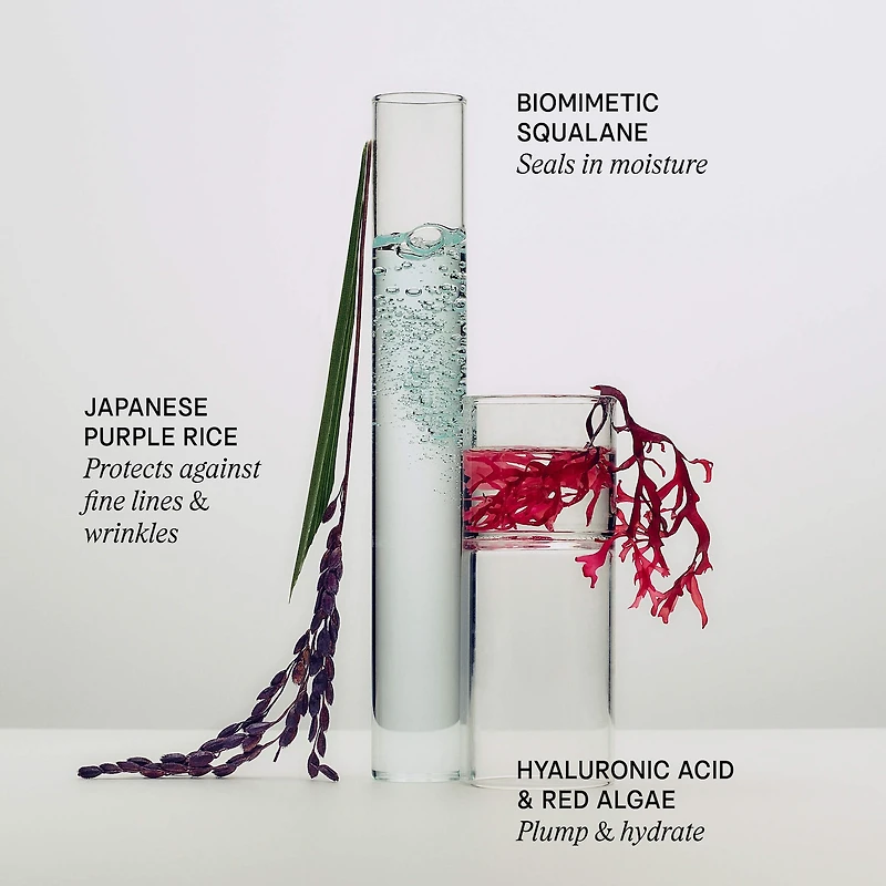 The Dewy Skin Cream Hydrating & Firming Refillable Moisturizer