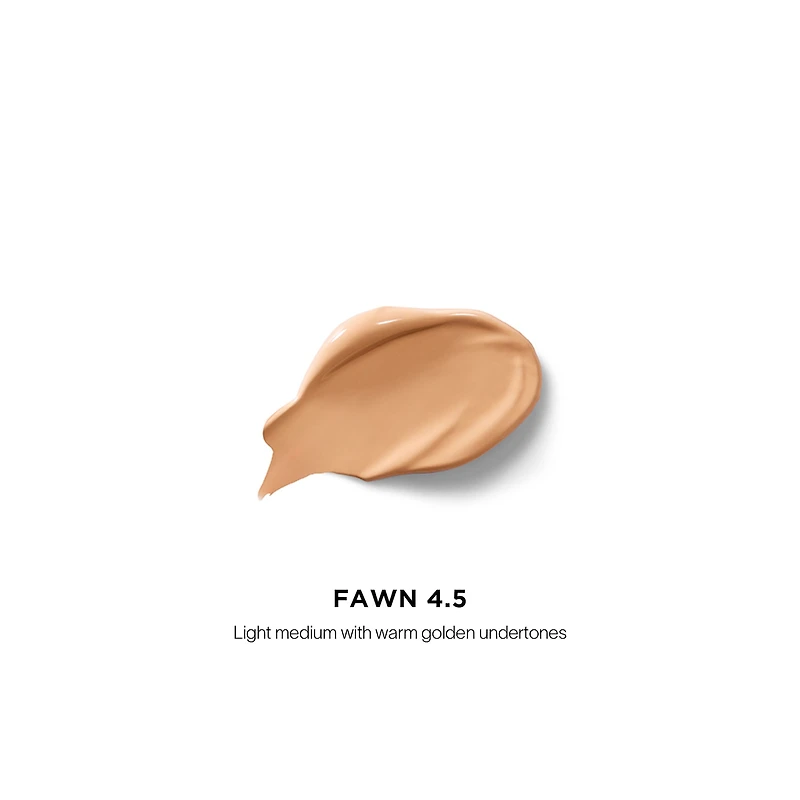 Vanish™ Airbrush Concealer