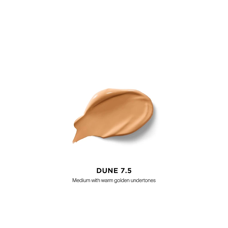 Vanish™ Airbrush Concealer