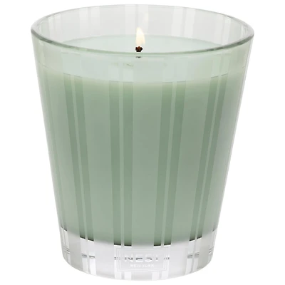 Bougie Wild Mint & Eucalyptus