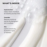 RESIST Perfectly Balanced Foaming Cleanser with Hyaluronic Acid						