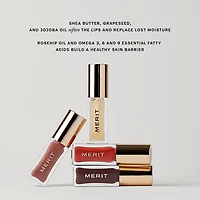 Huile teintée pour les lèvres hydratante Shade Slick